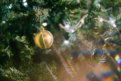 Close-up of christmas decoration hanging on tree