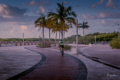 Man riding bicycle on road in city against sky