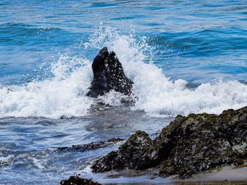 Waves splashing on rocks