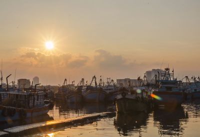 Sailboats in marina at sunset