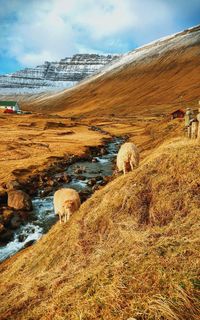 Scenic view of landscape against cloudy sky