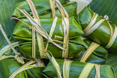 Close-up of fresh green leaves