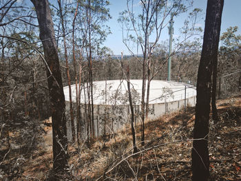 Scenic view of forest against sky