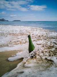 Dead plant on land against sea