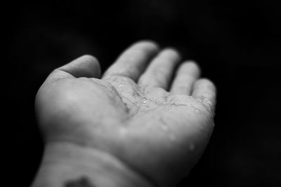 Close-up of hand holding leaf against black background