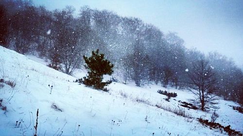 Scenic view of snow covered landscape