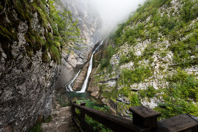 Scenic view of waterfall in forest