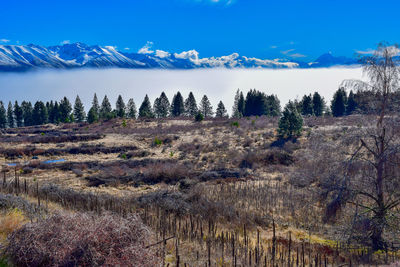 Scenic view of landscape against sky