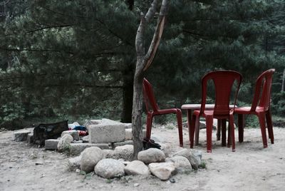 Chairs sitting on rocks against trees