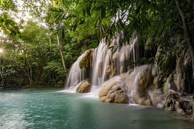 Scenic view of waterfall in forest