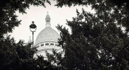 Low angle view of bird on tree against sky