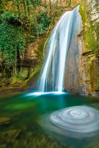 Scenic view of waterfall in forest