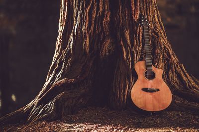 Guitar on tree trunk