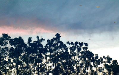 Low angle view of silhouette trees against sky