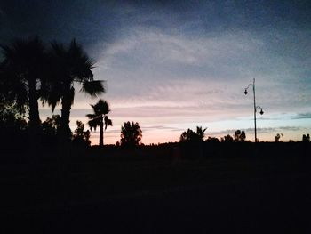 Silhouette trees against sky at sunset