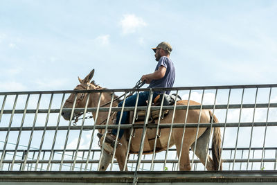 Man riding horse against sky