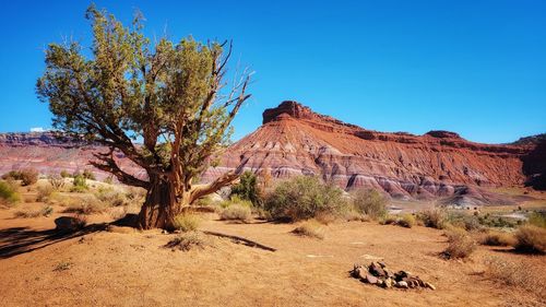 Scenic view of desert against clear blue sky