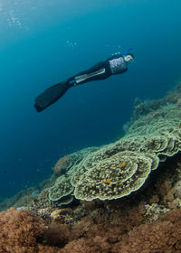 Man swimming in sea