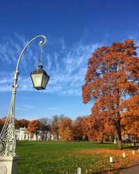 View of street lights in park during autumn