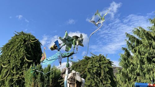 Low angle view of plants and trees against sky