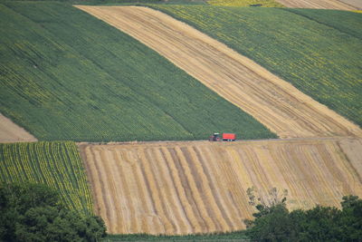 Scenic view of agricultural field