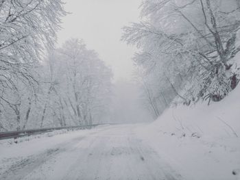 Snow covered road amidst trees