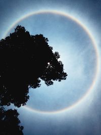 Rainbow over trees against sky