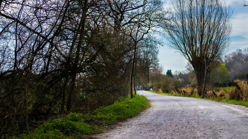 Road amidst bare trees against sky