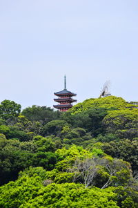 View of a temple in the middle of the forest