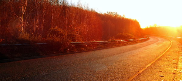 Close-up of road by trees against sky