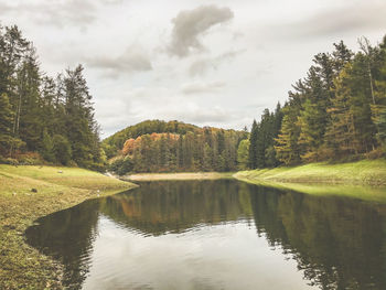 Scenic view of lake in forest against sky