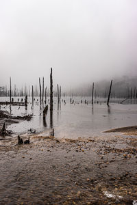 Scenic view of wooden posts in winter against sky