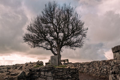 View of bare tree against cloudy sky