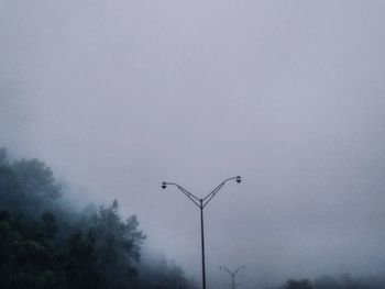 Low angle view of bird flying against sky