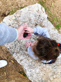 High angle view of baby hand on rock