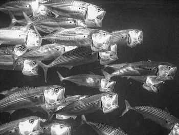 Close up of computer