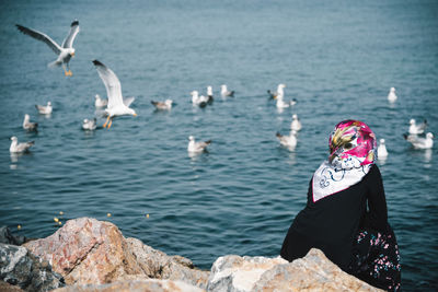 Rear view of seagulls on rock by sea