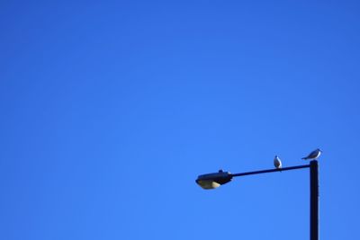 Low angle view of street light against clear blue sky