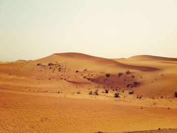 Scenic view of desert