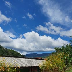 Houses and trees against sky