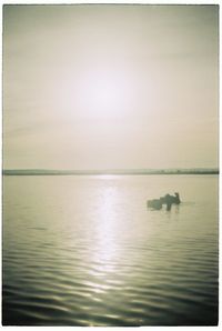 Scenic view of sea at sunset