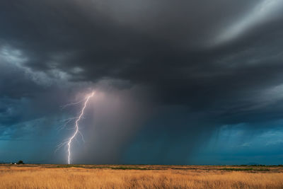 Lightning strikes from a strong, monsoon thunderstorm near douglas, arizona.