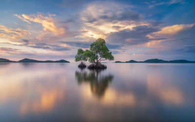 Scenic view of sea against sky during sunset