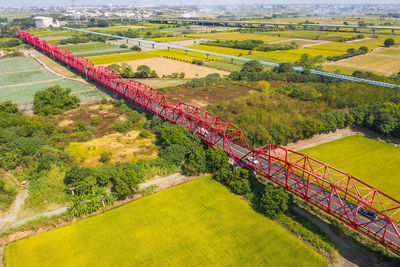 High angle view of trees on field