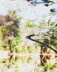 High angle view of a lake