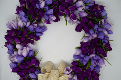 Close-up of purple flowering plant against white background