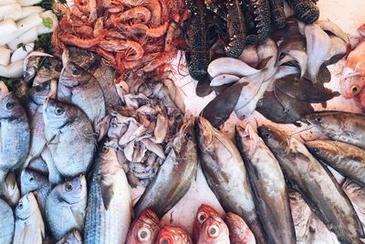 Full frame shot of fish for sale in market