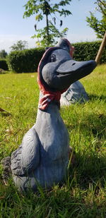 Close-up of duck on field