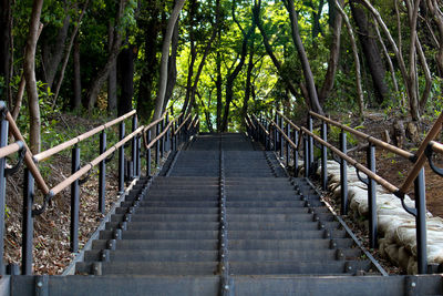 Footbridge amidst trees in forest