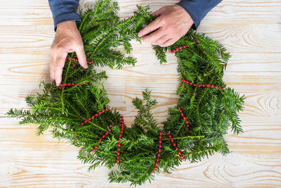 Cropped hand of woman holding plant